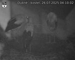 Capi_Dubne_20250726_041002.jpg