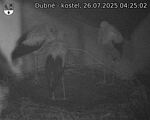 Capi_Dubne_20250726_042502.jpg