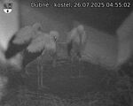 Capi_Dubne_20250726_045502.jpg