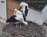 Capi_Dubne_20250726_100003.jpg