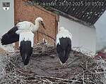 Capi_Dubne_20250726_100502.jpg