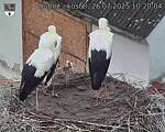 Capi_Dubne_20250726_102004.jpg