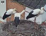 Capi_Dubne_20250726_111003.jpg
