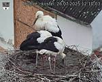 Capi_Dubne_20250726_121003.jpg