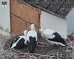 Capi_Dubne_20250726_151503.jpg