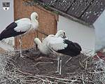 Capi_Dubne_20250726_155004.jpg