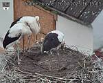 Capi_Dubne_20250726_161503.jpg