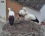 Capi_Dubne_20250726_165004.jpg