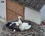 Capi_Dubne_20250726_171003.jpg