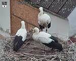 Capi_Dubne_20250726_174503.jpg