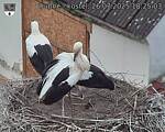 Capi_Dubne_20250726_182503.jpg