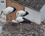 Capi_Dubne_20250726_185004.jpg