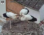 Capi_Dubne_20250726_185503.jpg