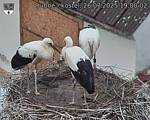 Capi_Dubne_20250726_190002.jpg