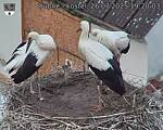 Capi_Dubne_20250726_192003.jpg