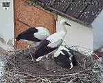 Capi_Dubne_20250726_195502.jpg