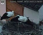 Capi_Dubne_20250726_210003.jpg