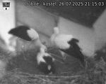 Capi_Dubne_20250726_211503.jpg