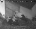 Capi_Dubne_20250726_212003.jpg