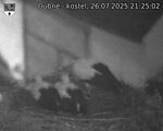Capi_Dubne_20250726_212502.jpg