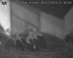 Capi_Dubne_20250726_213002.jpg