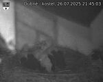 Capi_Dubne_20250726_214503.jpg