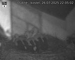 Capi_Dubne_20250726_220502.jpg
