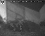 Capi_Dubne_20250726_222002.jpg
