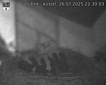 Capi_Dubne_20250726_223003.jpg