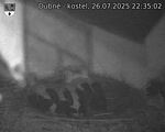 Capi_Dubne_20250726_223502.jpg
