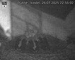 Capi_Dubne_20250726_225502.jpg