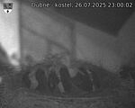 Capi_Dubne_20250726_230002.jpg