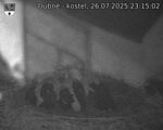 Capi_Dubne_20250726_231502.jpg
