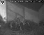 Capi_Dubne_20250726_232502.jpg