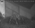 Capi_Dubne_20250726_233502.jpg