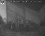 Capi_Dubne_20250726_235002.jpg