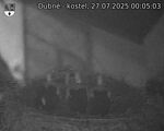 Capi_Dubne_20250727_000503.jpg