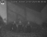 Capi_Dubne_20250727_003003.jpg