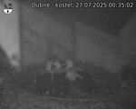 Capi_Dubne_20250727_003502.jpg