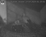Capi_Dubne_20250727_012503.jpg