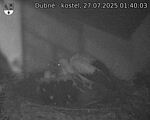 Capi_Dubne_20250727_014003.jpg