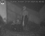 Capi_Dubne_20250727_014502.jpg