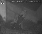 Capi_Dubne_20250727_015002.jpg