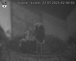 Capi_Dubne_20250727_020002.jpg
