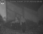 Capi_Dubne_20250727_020502.jpg