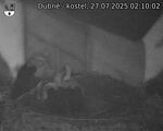 Capi_Dubne_20250727_021003.jpg
