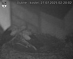 Capi_Dubne_20250727_022002.jpg