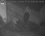 Capi_Dubne_20250727_023502.jpg
