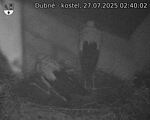 Capi_Dubne_20250727_024002.jpg