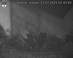 Capi_Dubne_20250727_024502.jpg